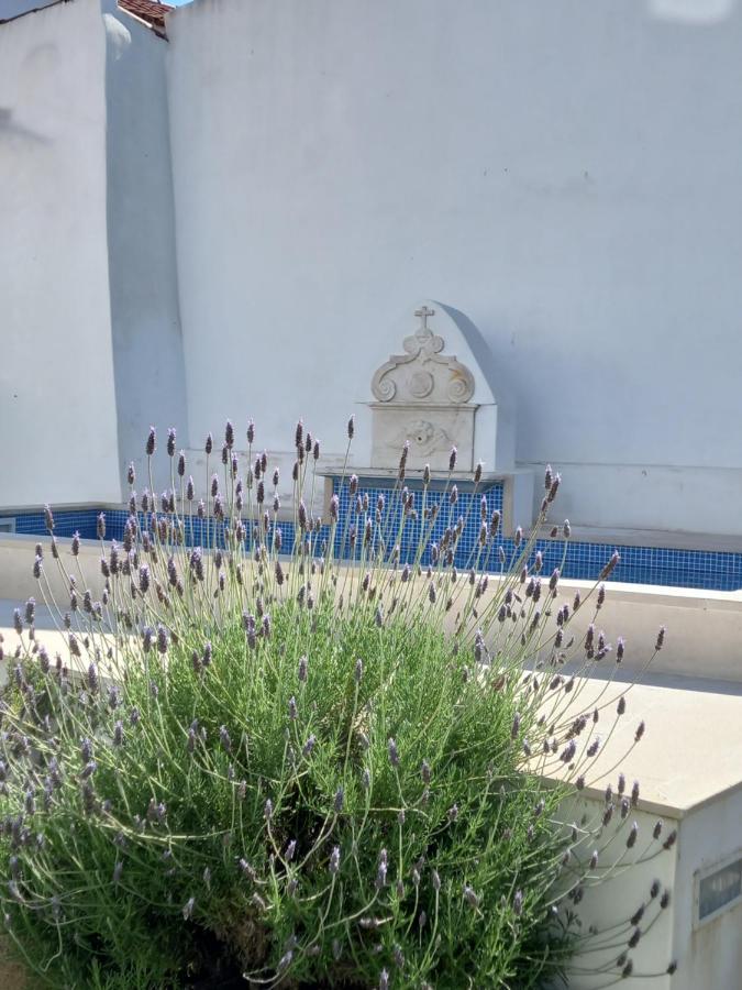 Pateo Dos Oliveira - Casa Dos Senhores エヴォラ エクステリア 写真